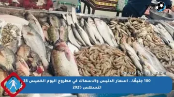 180 جنيهًا.. أسعار الدنيس والأسماك في مطروح اليوم الخميس 28 أغسطس 2025